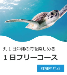 １日フリーコース